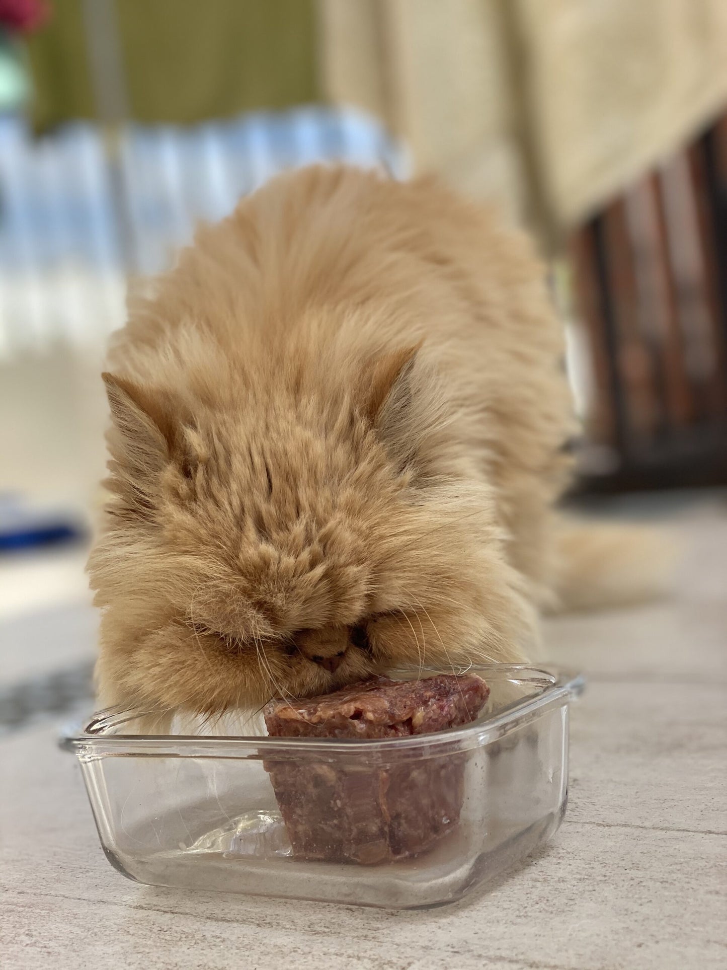 Menú Carne de Pollo y Pescado para gatos (4kg)